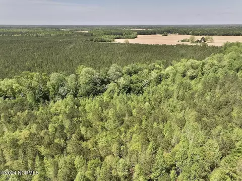 0 Fire Tower Rd, Jackson, NC 27845 photo 14