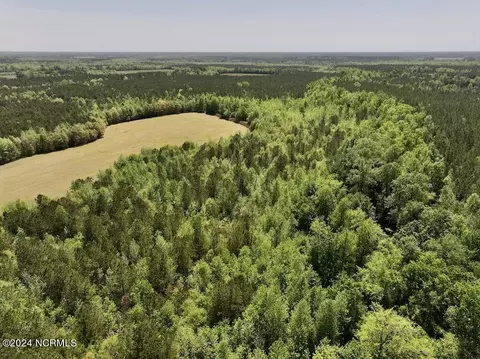 0 Fire Tower Rd, Jackson, NC 27845 photo 9