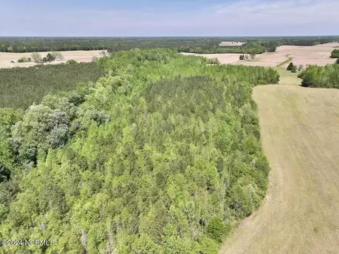 0 Fire Tower Rd, Jackson, NC 27845 photo 13