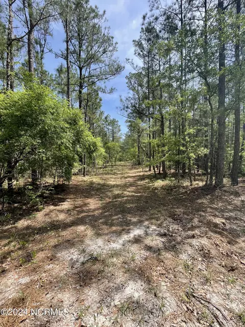 8 Lacers Way, Currie, NC 28435