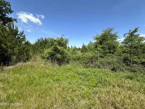 0 Needmore Rd, Turkey, NC 28393 photo 7