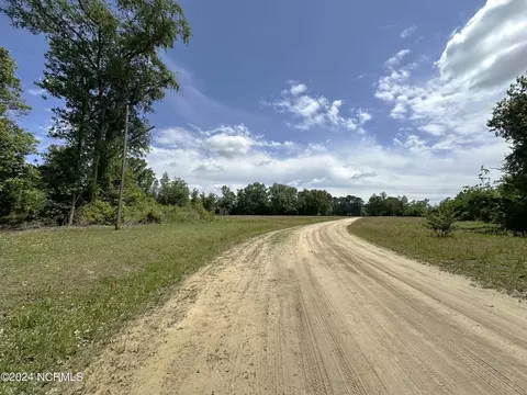 0 Needmore Rd, Turkey, NC 28393 photo 4