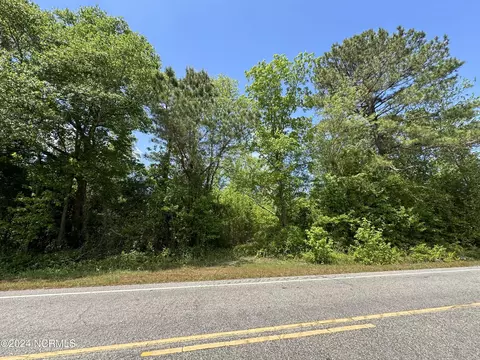 0 Needmore Rd, Turkey, NC 28393 photo 5
