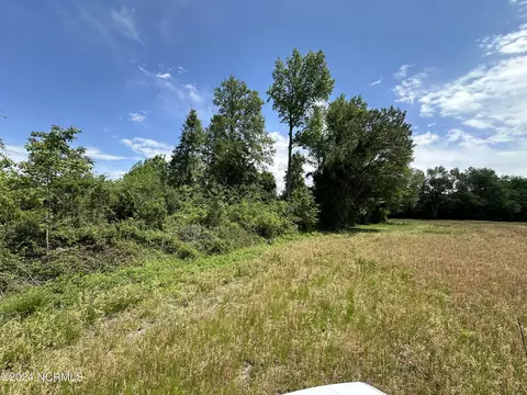 0 Needmore Rd, Turkey, NC 28393 photo 6
