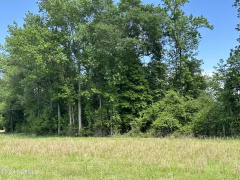 0 Needmore Rd, Turkey, NC 28393 photo 8