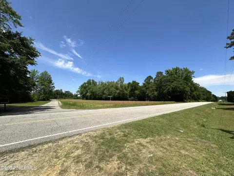 0 Needmore Rd, Turkey, NC 28393 photo 2