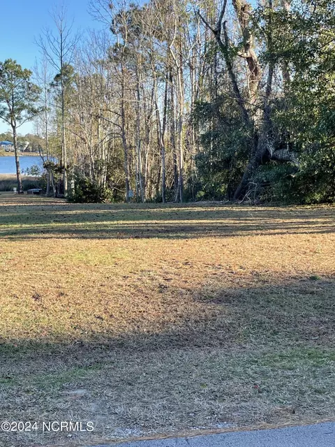 1053 Meridian Dr, Sneads Ferry, NC 28460
