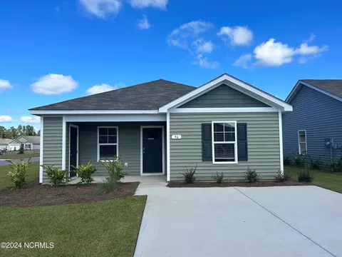 96 Cambridge Dr #LEWIS B -  71, Tabor City, NC 28463