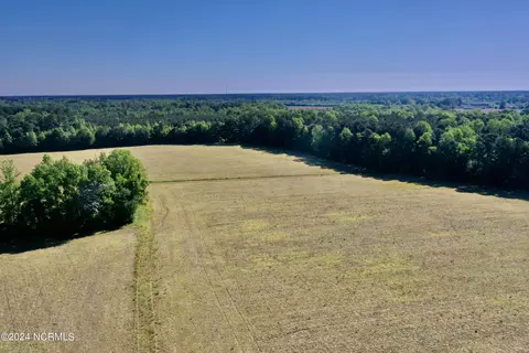 0 Near 382 Parl Barnes Rd, Chadbourn, NC 28431