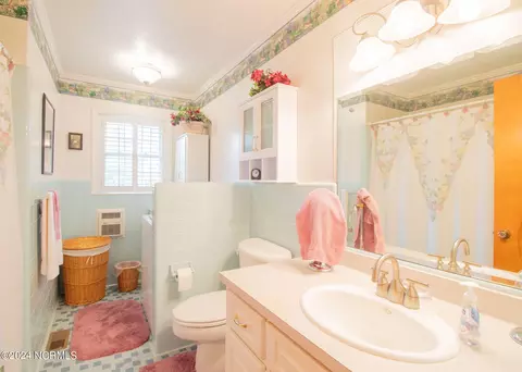 747 Herring Rd, Dudley, NC 28333 photo 14