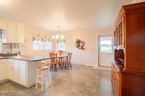 747 Herring Rd, Dudley, NC 28333 photo 11