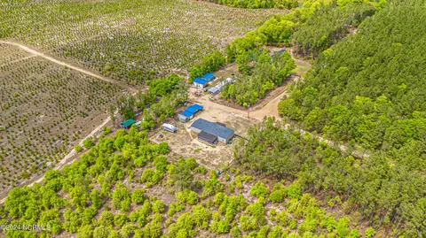 View/Area - 209 Dirt Rd, Hamlet, NC 28345 photo 1 of 2