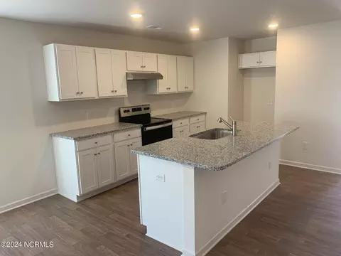 231 Cougar Rd, Boiling Spring Lakes, NC 28461 photo 3
