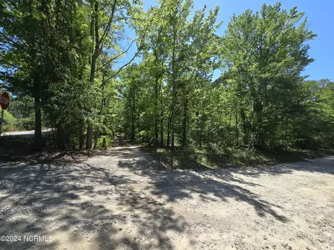 115 Ridgeview Dr, Hamlet, NC 28345 photo 19
