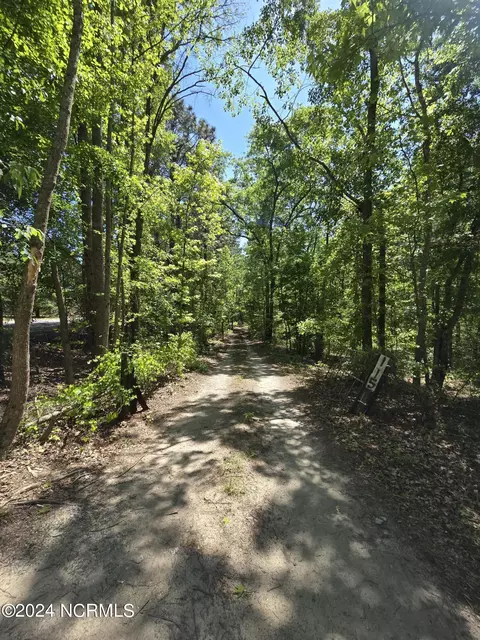 115 Ridgeview Dr, Hamlet, NC 28345 photo 20