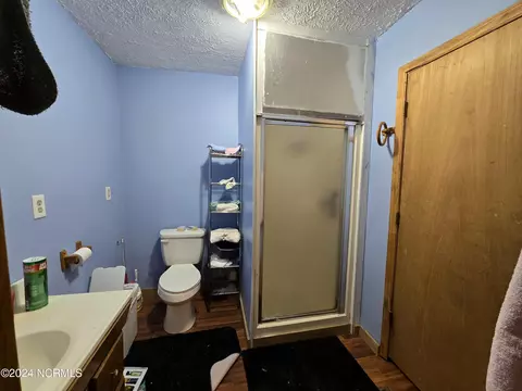 115 Ridgeview Dr, Hamlet, NC 28345 photo 9