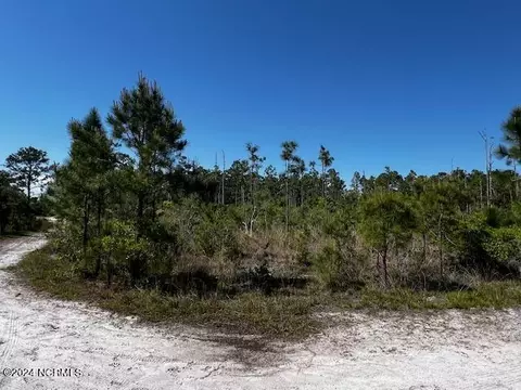 lot81 Trevino Rd, Boiling Spring Lakes, NC 28461