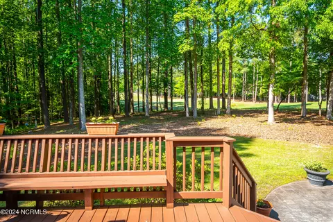 116 Providence Pl, Chocowinity, NC 27817 photo 41