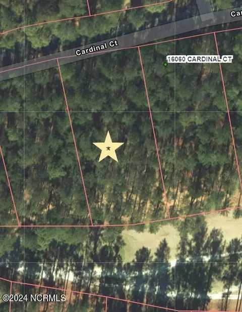 3 Cardinal Ct, Wagram, NC 28396