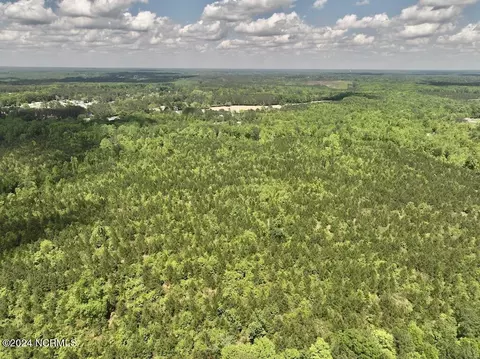 00 Buck Rd, Middlesex, NC 27557 photo 30