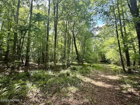 00 Buck Rd, Middlesex, NC 27557 photo 13
