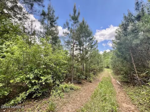 00 Buck Rd, Middlesex, NC 27557 photo 29