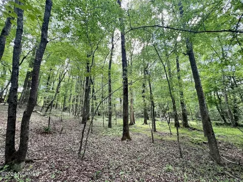 00 Buck Rd, Middlesex, NC 27557 photo 17
