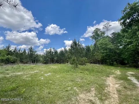 00 Buck Rd, Middlesex, NC 27557 photo 27