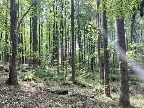 00 Buck Rd, Middlesex, NC 27557 photo 9