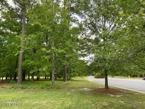 100 Thames Ln, Chocowinity, NC 27817 photo 3