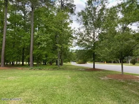 100 Thames Ln, Chocowinity, NC 27817