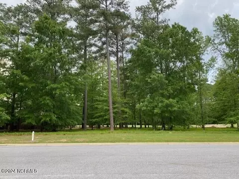 100 Thames Ln, Chocowinity, NC 27817 photo 5
