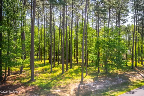 217 Cypress Landing Trl, Chocowinity, NC 27817