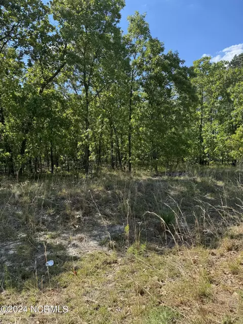 tbd Meadow Ln, Hamlet, NC 28345 photo 2