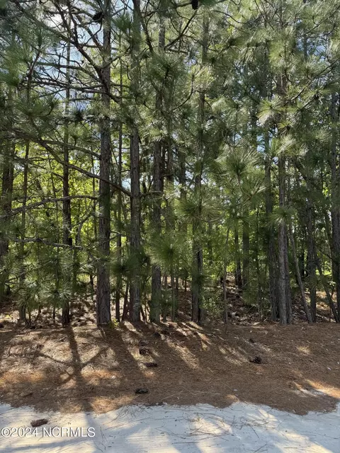 tbd Meadow Ln, Hamlet, NC 28345 photo 4