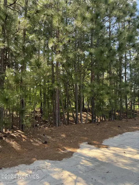 tbd Meadow Ln, Hamlet, NC 28345 photo 3