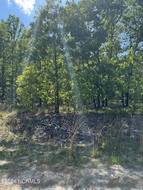 tbd Meadow Ln, Hamlet, NC 28345
