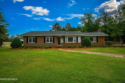 2167 Ice Plant Rd, Fair Bluff, NC 28439 photo 4