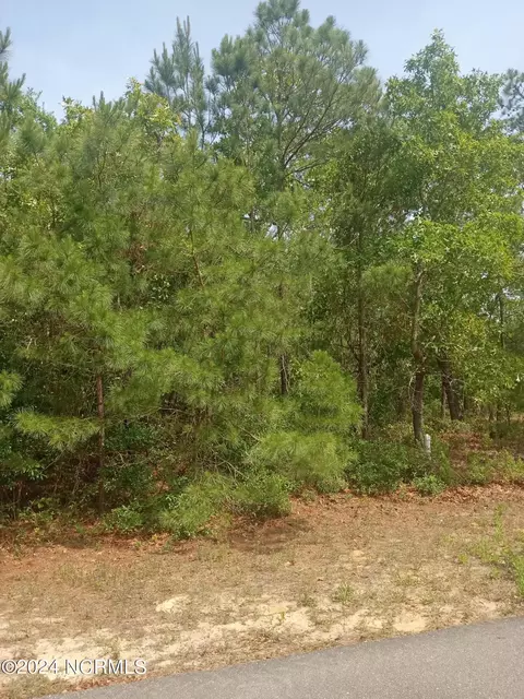 lot65 NW 11th, Oak Island, NC 28465