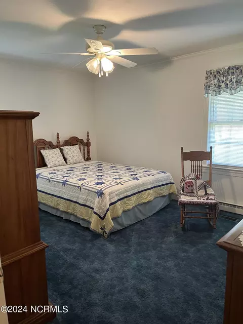 3145 Fire Dept Rd, Williamston, NC 27892 photo 19