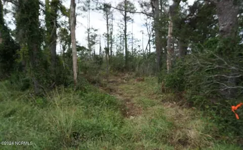 Tbd Us-70, Davis, NC 28524 photo 3