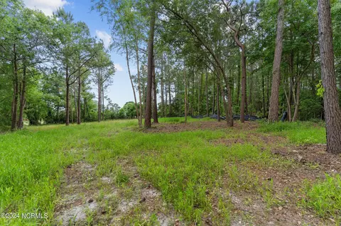 124 Pine Needle Dr, Hampstead, NC 28443 photo 8