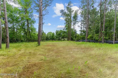 124 Pine Needle Dr, Hampstead, NC 28443 photo 10