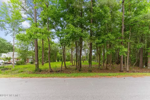 124 Pine Needle Dr, Hampstead, NC 28443 photo 3