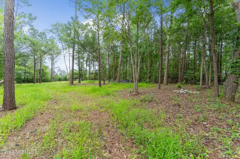 124 Pine Needle Dr, Hampstead, NC 28443 photo 6