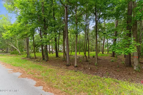 124 Pine Needle Dr, Hampstead, NC 28443 photo 4