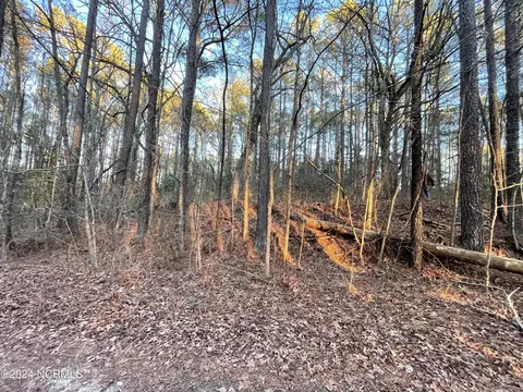 1083 Sorrell Dr, Vass, NC 28394