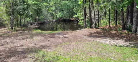 170 Bear Creek Rd, Mesic, NC 28515 photo 14