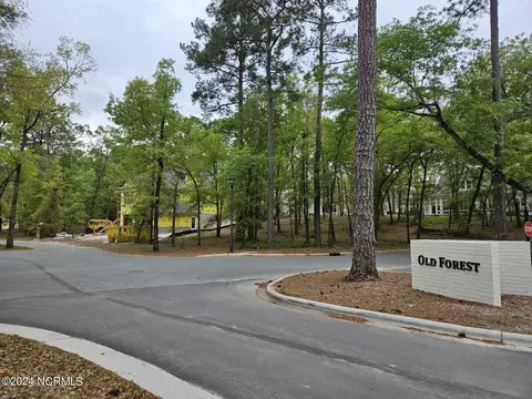 3623 Barnesmore Dr, Castle Hayne, NC 28429