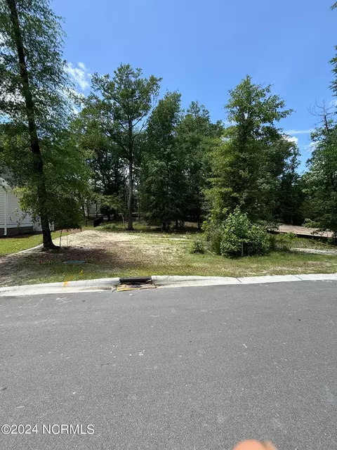 3709 Barnesmore Dr, Castle Hayne, NC 28429